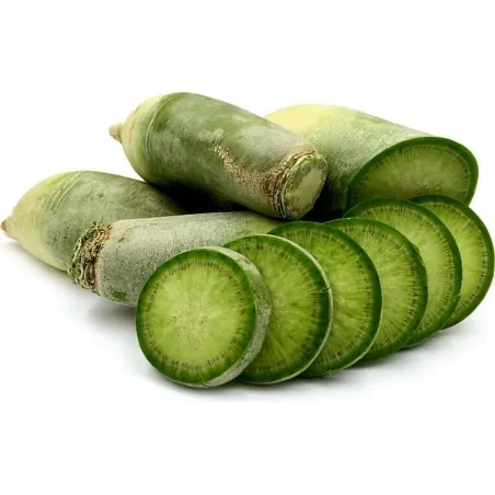 Chinese Green Luobo Radish Seeds