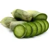 Chinese Green Luobo Radish Seeds