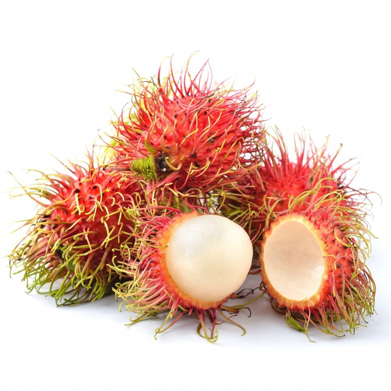 Price: €4.95 - Graines de Ramboutan Fruits Exotiques - 