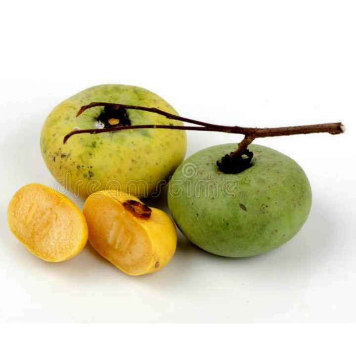 Seed Gold-Apple - Very fragrant Delicious unique Rare (Diospyros decandra) - 4.455