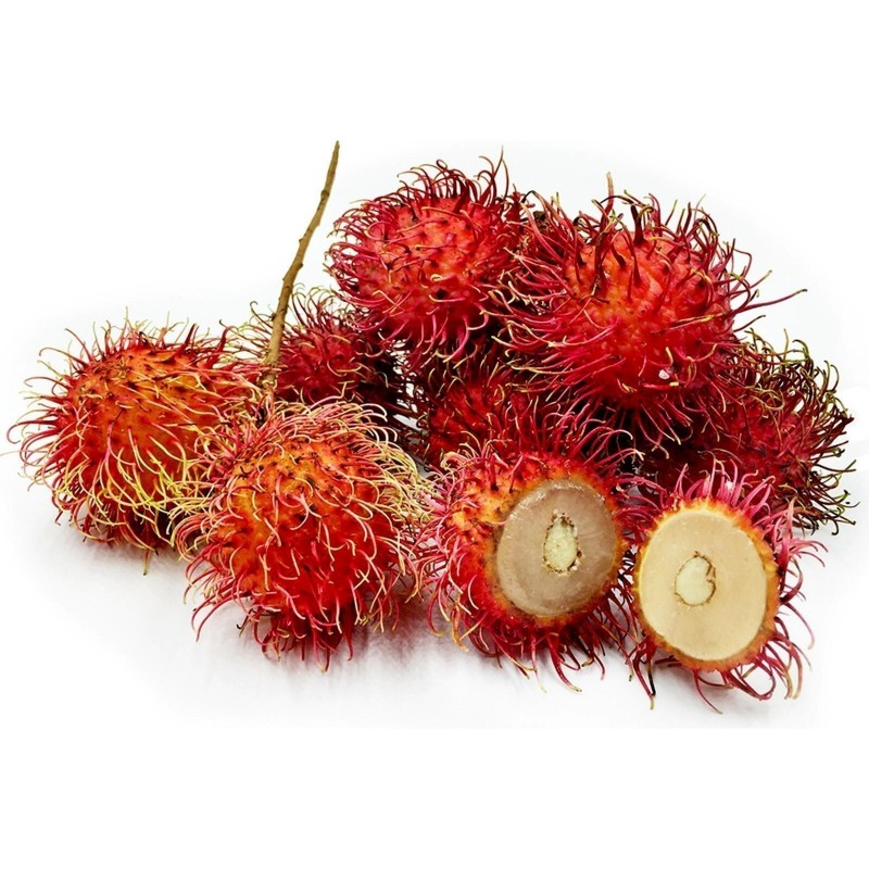 Rambutan Frön (Nephelium lappaceum) exotiska frukter