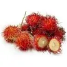 Rambutan Seeds (Nephelium Lappaceum)