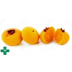 Price: €4.95 - Guldäpple Frö - mycket väldoftande Läcker unik Rare (diospyros decandra) - 