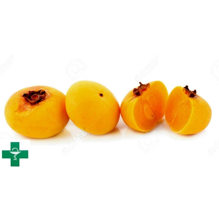 Seed Gold-Apple - Very fragrant Delicious unique Rare (Diospyros decandra) - 4.455