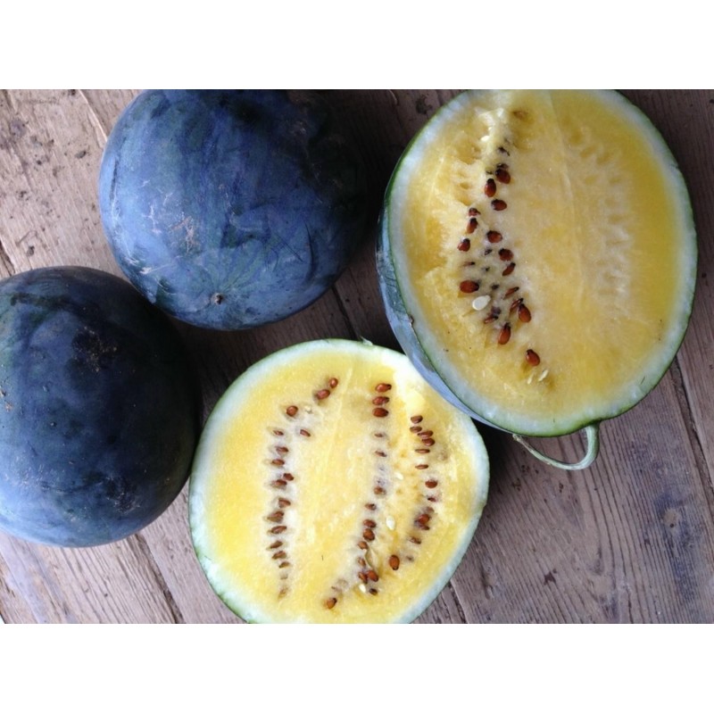 Price: €10 - 100 Graines Pastèque jaune JANOSIK - Seeds Gallery