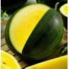 Price: €10 - 100 Graines Pastèque jaune JANOSIK - Seeds Gallery