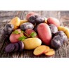 Price: €6 - Graines Pommes De Terre Multicolore  “Salute“ - 