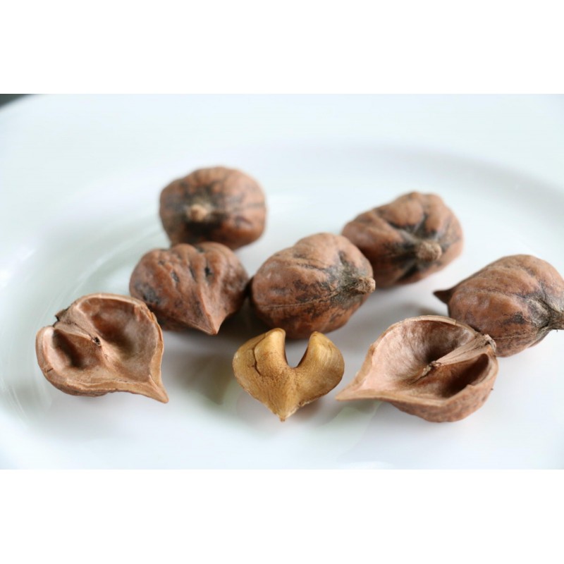 Price: €2.75 - Σπόροι Καρδιά καρύδι - Juglans Ailantifolia Cordiformis - 