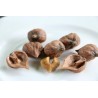 Price: €2.75 - Graines NOIX DE COEUR - Juglans ailantifolia cordiformis - 
