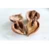 Price: €2.75 - Graines NOIX DE COEUR - Juglans ailantifolia cordiformis - 