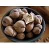 Price: €2.75 - Heartnut Seeds - Juglans Ailantifolia Cordiformis - 