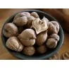 Σπόροι Καρδιά καρύδι - Juglans Ailantifolia Cordiformis