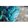 Turquoise Jade Vine - Emerald Vine Seeds (Strongylodon macrobotrys) | β¬12.50