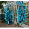 Turquoise Jade Vine - Emerald Vine Seeds (Strongylodon macrobotrys) | β¬12.50