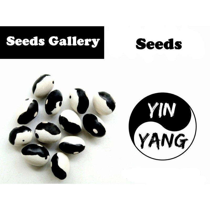 Price: €2.75 - Σπόροι Φασόλια Calypso - Orca - Yin Yang - Seeds Gallery