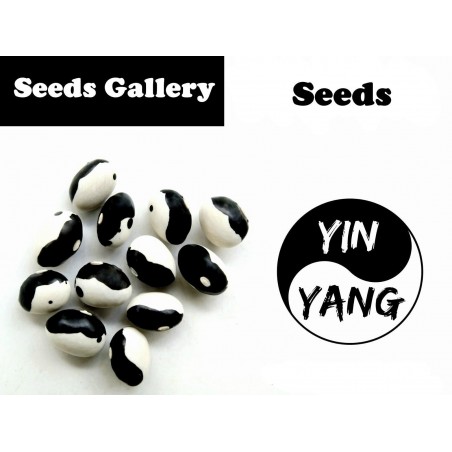 Price: €2.75 - Σπόροι Φασόλια Calypso - Orca - Yin Yang - Seeds Gallery