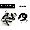 Price: €2.75 - Σπόροι Φασόλια Calypso - Orca - Yin Yang - Seeds Gallery