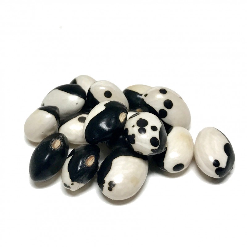 Price: €2.75 - Σπόροι Φασόλια Calypso - Orca - Yin Yang - Seeds Gallery
