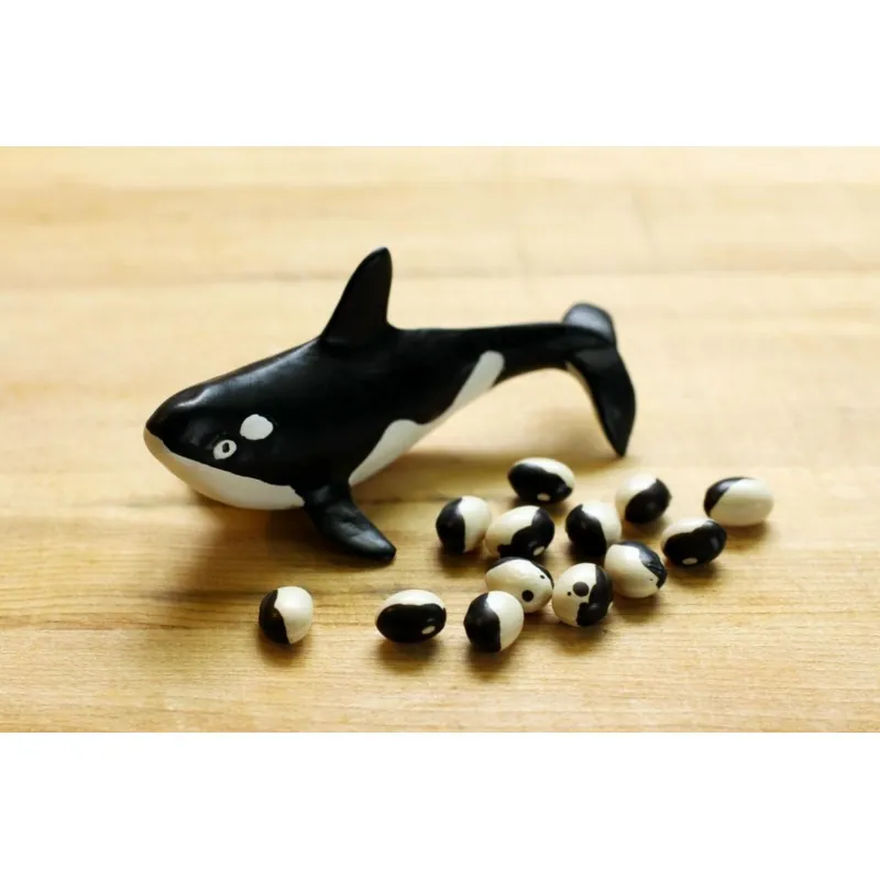 Calypso - Orca - Yin Yang Bean Seeds