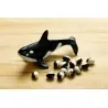 Graines de haricot Calypso - Orca - Yin Yang