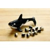 Price: €2.75 - Σπόροι Φασόλια Calypso - Orca - Yin Yang - Seeds Gallery