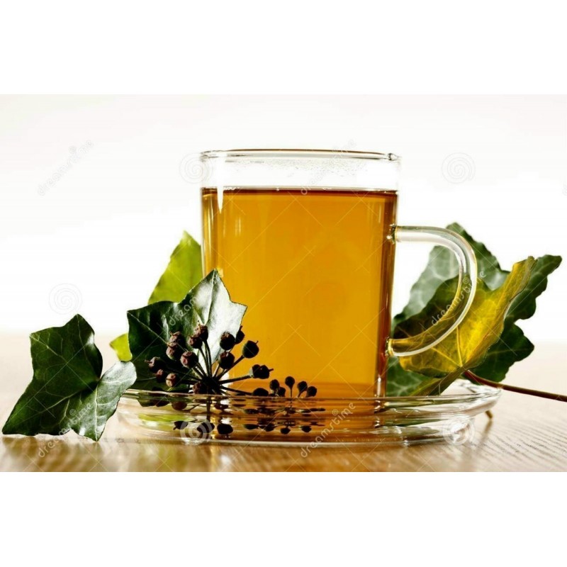 Price: €2.15 - Brsljan Seme (Hedera helix) - 