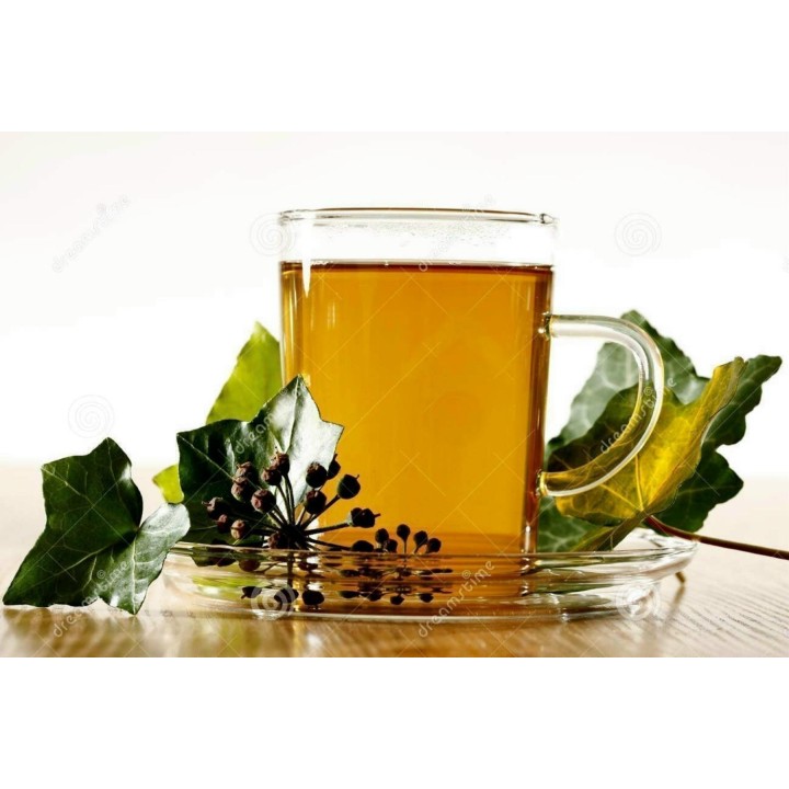 Bluszcz pospolity Bluszcz angielski Bluszcz europejski Nasiona (Hedera helix) - 1.935