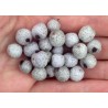 Midgen Berry Seeds (Austromyrtus dulcis) | €3.15
