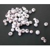 Midgen Berry Seeds (Austromyrtus dulcis) | €3.15