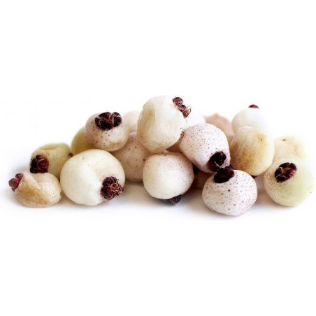 Midgen Berry Seeds (Austromyrtus dulcis) | €3.15