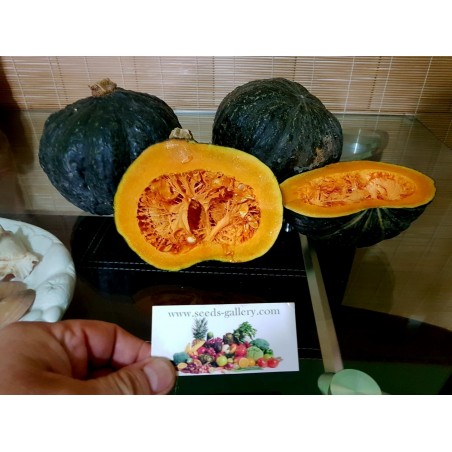 Price: €2.35 - Green Kabocha - Hokkaido Squash Seeds - Seeds Gallery