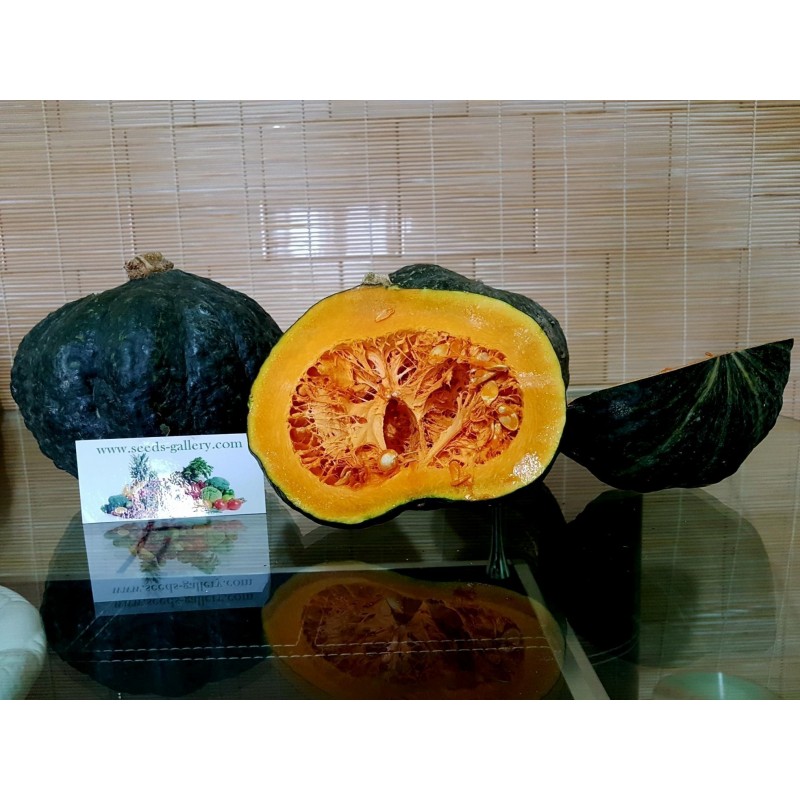 Price: €2.35 - Graines De Potiron Doux Vert Kabocha - Hokkaido - Seeds Gallery