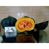 Price: €2.35 - Green Kabocha - Hokkaido Squash Seeds - Seeds Gallery