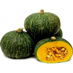 Price: €2.35 - Σπόροι Πράσινος Kabocha - Hokkaido Σκουός - Seeds Gallery