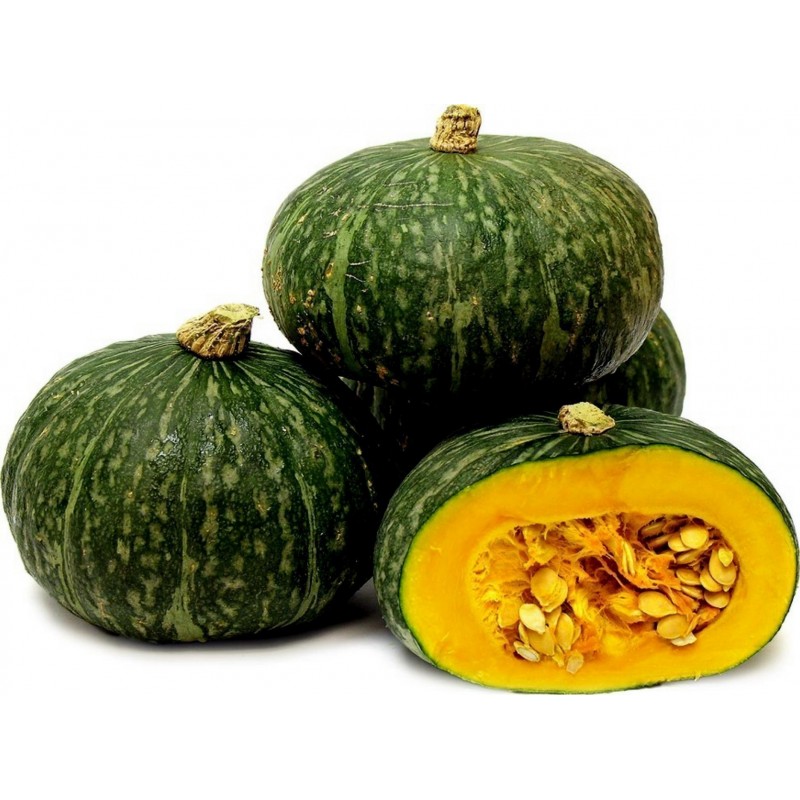 Graines De Potiron Doux Vert Kabocha - Hokkaido