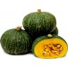 Price: €2.35 - Green Kabocha - Hokkaido Squash Seeds - Seeds Gallery