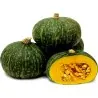 Green Kabocha - Hokkaido Squash Seeds
