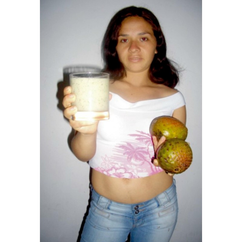 Sementes de Chona – Guacalla – Sanky (Corryocactus brevistylus)