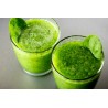 Price: €2.75 - Graines de Chona – Guacalla - Sanky (Corryocactus brevistylus) - 