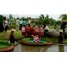 Giant Water Lily Lotus Seeds (Victoria amazonica) | € 2,25