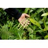 Price: €3.5 - Bourbon Vanila Seme (Vanilla planifolia) - 