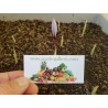 Price: €2.85 - Saffron Seeds (Saffron crocus) - 