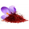 Price: €2.85 - Saffron Seeds (Saffron crocus) - 