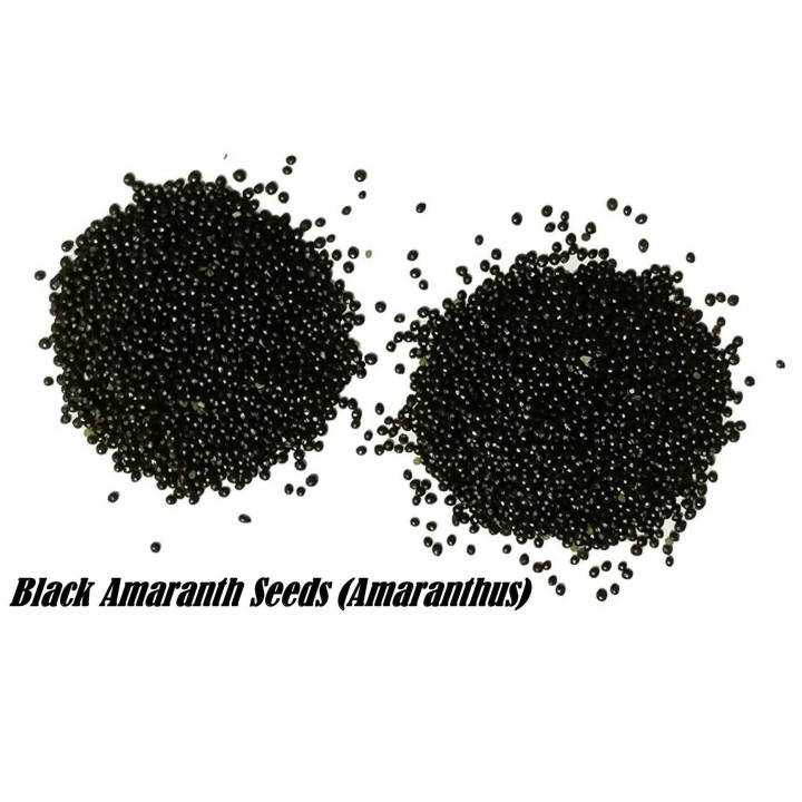 Black Amaranth Seeds (Amaranthus) - 2.115