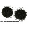 Price: €1.35 - Semillas de AMARANTOS Negro (Amaranthus) - 