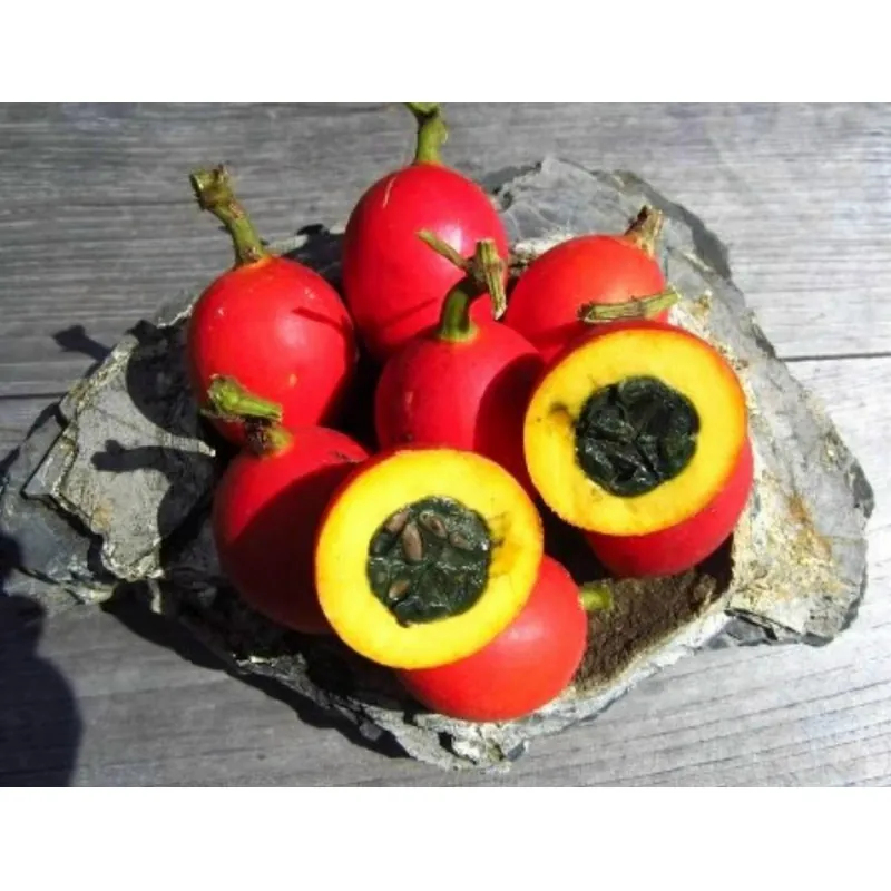 Semi di Dummela - anguria amarognolo (Gymnopetalum integrifolium)