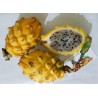 100 Graines de Pitaya Jaune - Fruit du Dragon