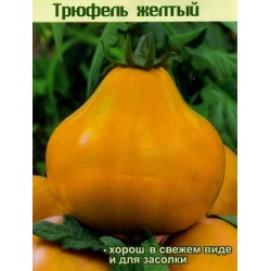 Price: €1.95 - Σπόροι ντομάτας Κίτρινη Τρούφα - Yellow Truffle - Seeds Gallery
