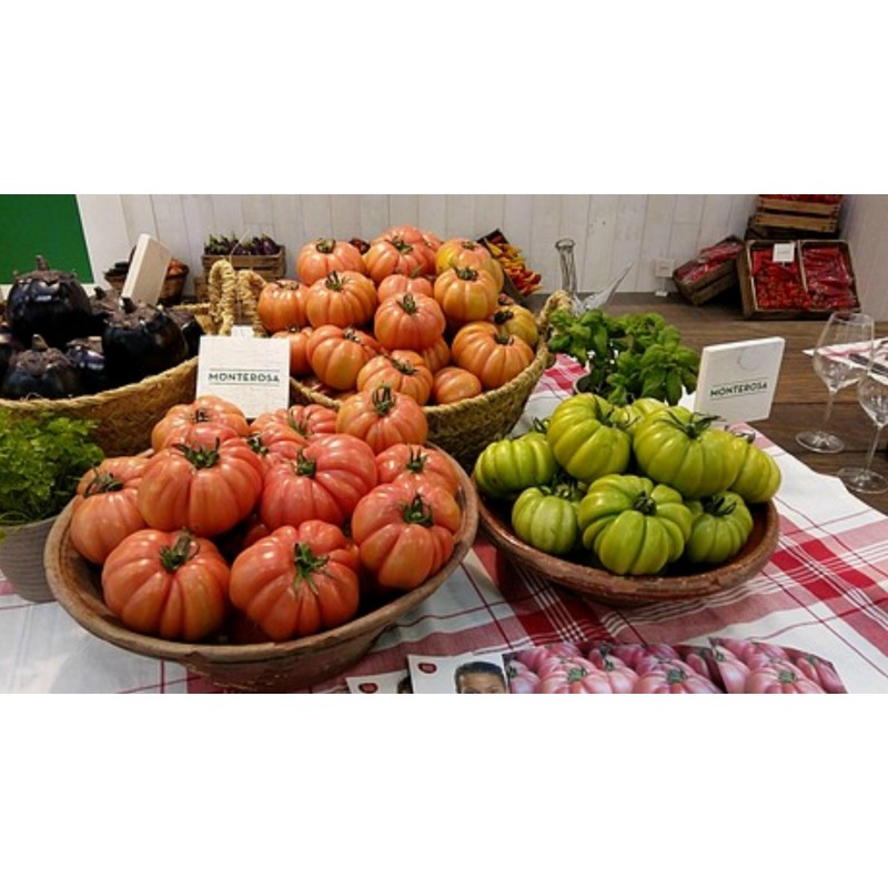 Semillas de tomate acostillado Monte Rosa