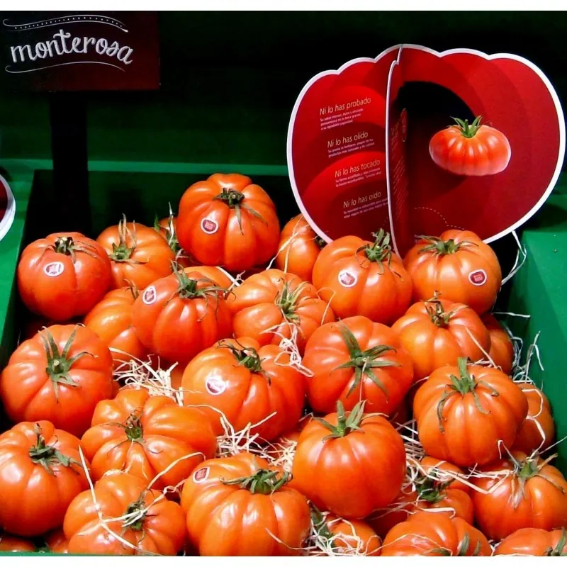 Sementes de tomate Monte Rosa